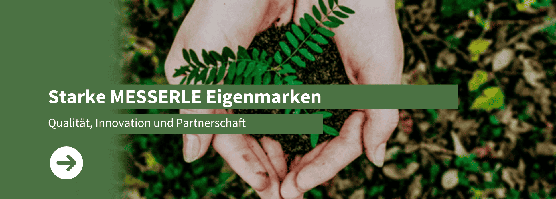 Starke Messerle Eigenmarken